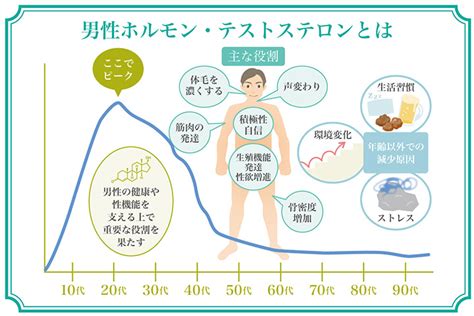 恋愛 テストステロン|「男性ホルモンが恋愛を左右する？！」恋愛における男性ホルモ。